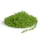 Montour Line Fluorescent Green Plastic Chain, 2 In, 200 Ft. Long CH-CH-20-FGN-200-BX - alternate 1